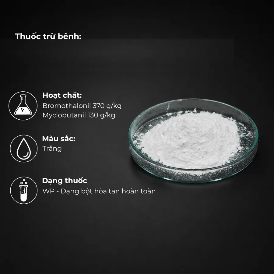 Bromothalonil (min 95%) 370 g/kg + Myclobutanil 130 g/kg · WP sample