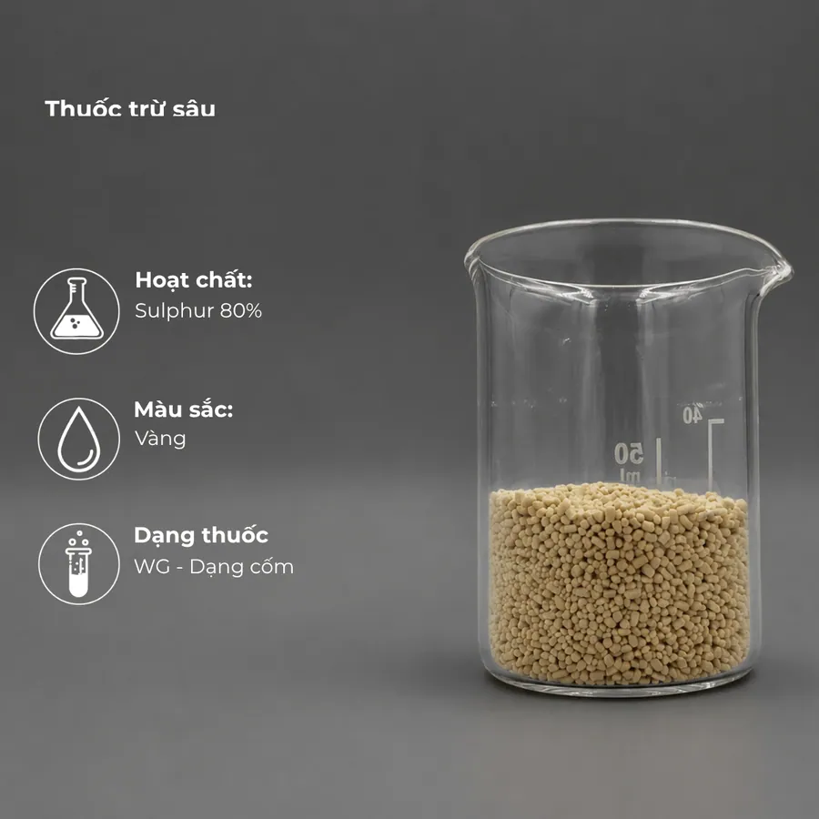 Mẫu Sulphur 80% · WDG