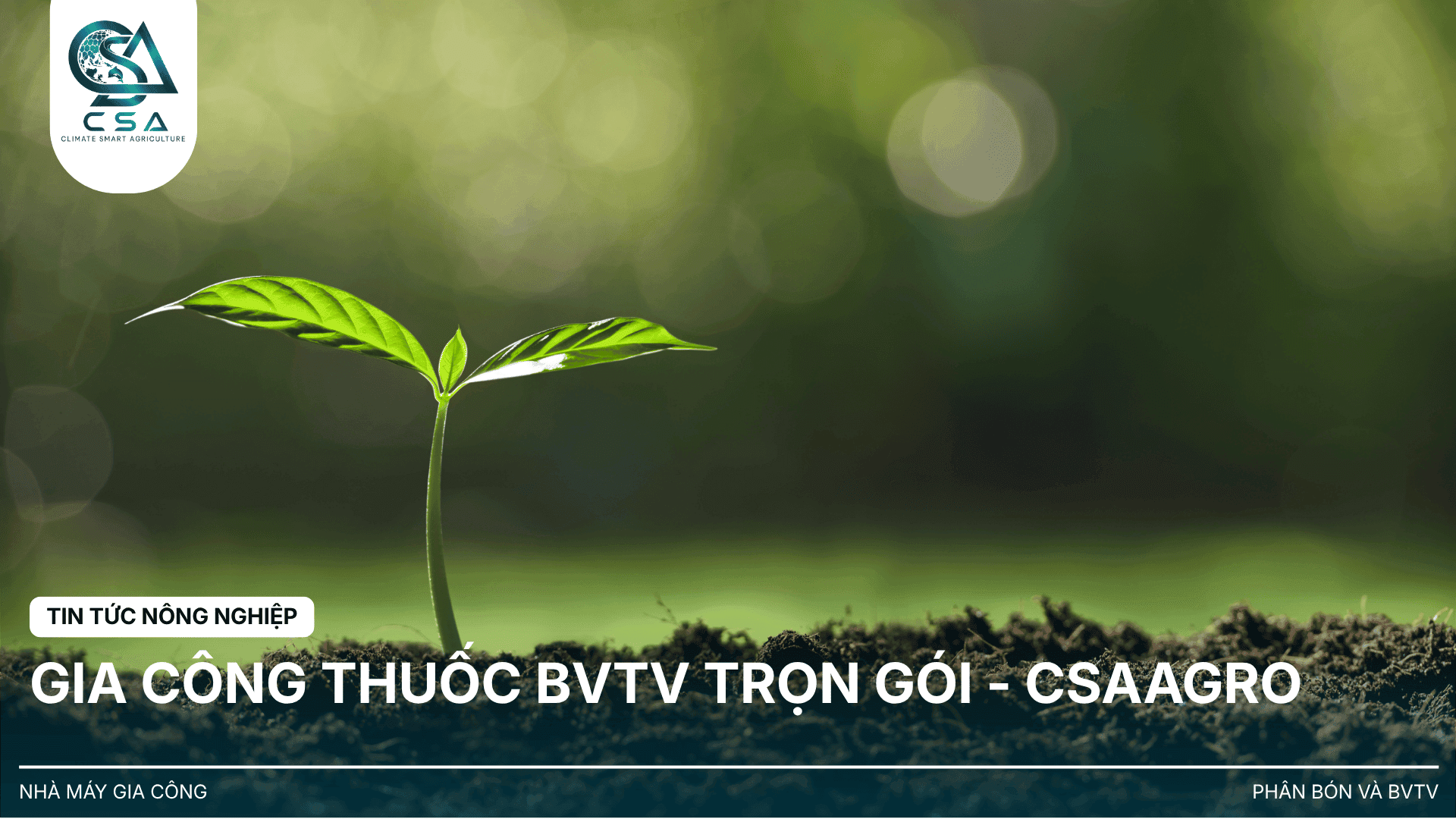 GIA CÔNG THUỐC BVTV TRỌN GÓI - CSAAGRO